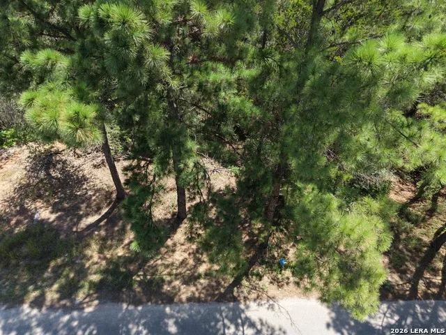 127 & 133 Lamaloa Ln Bastrop, TX 78602