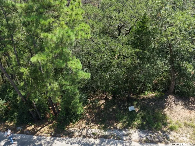 127 & 133 Lamaloa Ln Bastrop, TX 78602