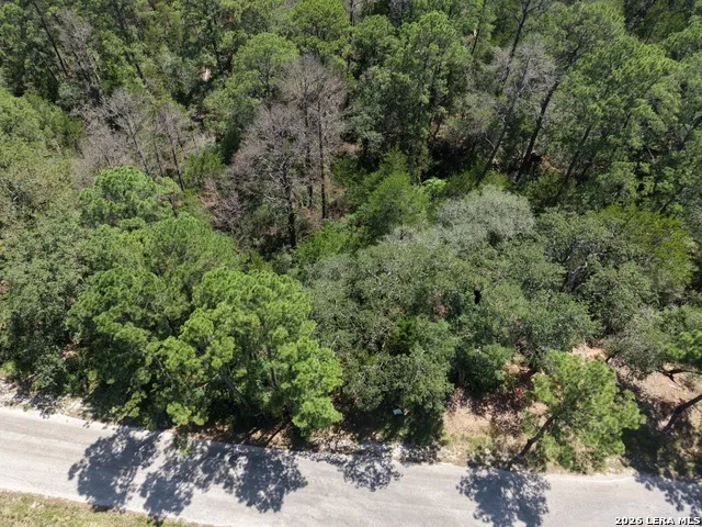 127 & 133 Lamaloa Ln Bastrop, TX 78602