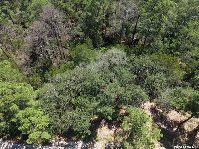127 & 133 Lamaloa Ln Bastrop, TX 78602