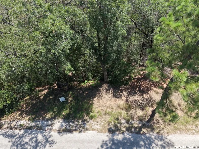 127 & 133 Lamaloa Ln Bastrop, TX 78602