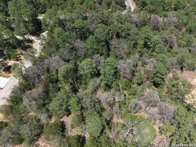 127 & 133 Lamaloa Ln Bastrop, TX 78602