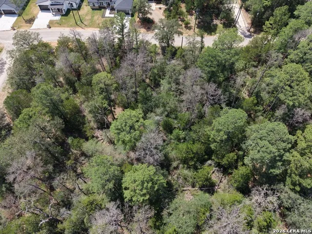 127 & 133 Lamaloa Ln Bastrop, TX 78602