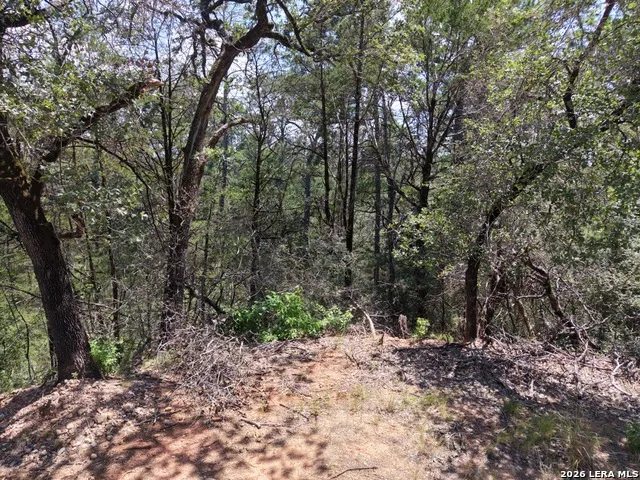 127 & 133 Lamaloa Ln Bastrop, TX 78602