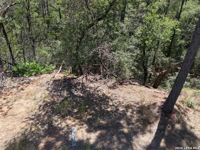 127 & 133 Lamaloa Ln Bastrop, TX 78602