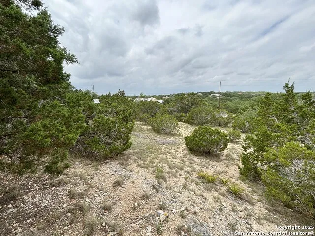 1040 PINON PASS Fischer, TX 78623