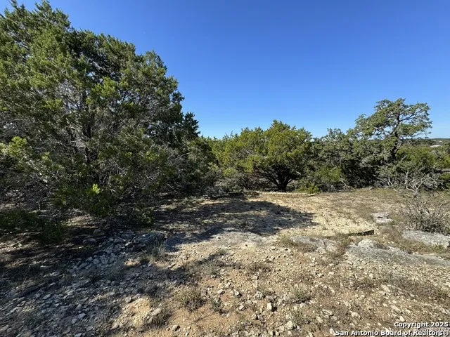 1040 PINON PASS Fischer, TX 78623