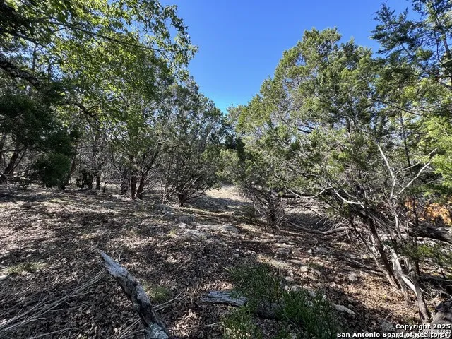 1040 PINON PASS Fischer, TX 78623