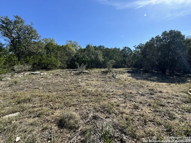 1040 PINON PASS Fischer, TX 78623