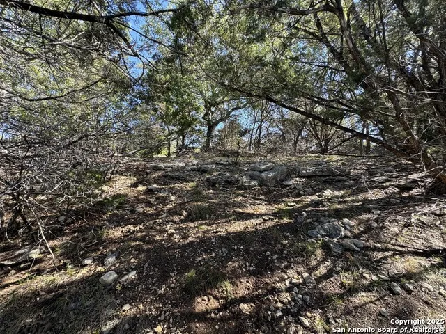 1040 PINON PASS Fischer, TX 78623