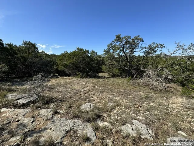 1040 PINON PASS Fischer, TX 78623