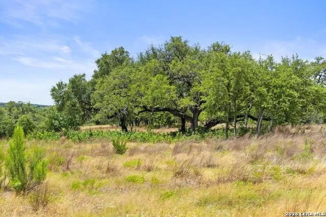 207 VERBENA CT Johnson City, TX 78636