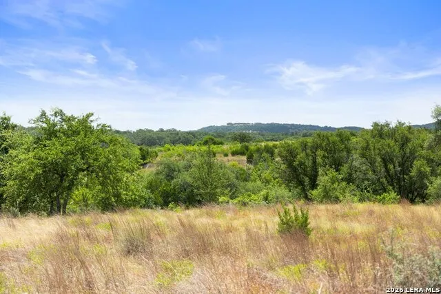 207 VERBENA CT Johnson City, TX 78636