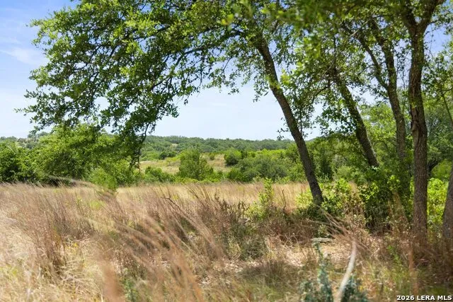 207 VERBENA CT Johnson City, TX 78636