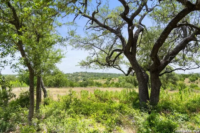 207 VERBENA CT Johnson City, TX 78636
