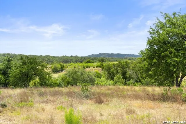 207 VERBENA CT Johnson City, TX 78636