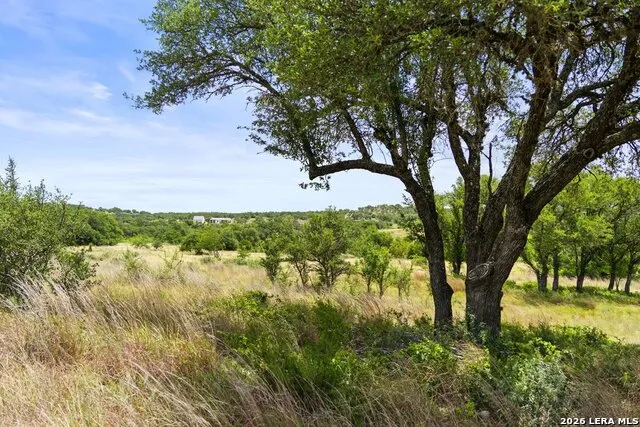 207 VERBENA CT Johnson City, TX 78636