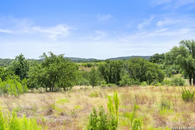 207 VERBENA CT Johnson City, TX 78636
