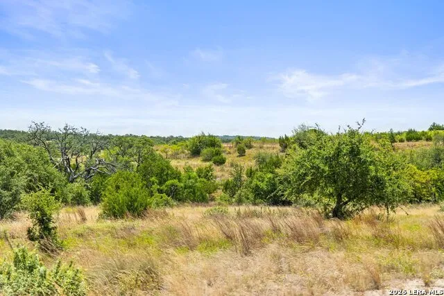 207 VERBENA CT Johnson City, TX 78636