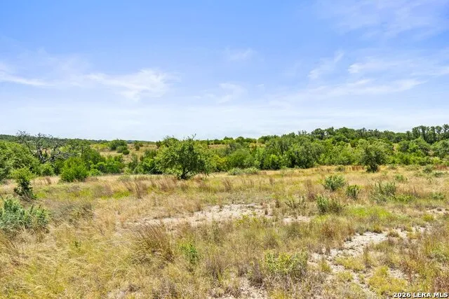 207 VERBENA CT Johnson City, TX 78636