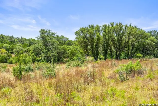 207 VERBENA CT Johnson City, TX 78636