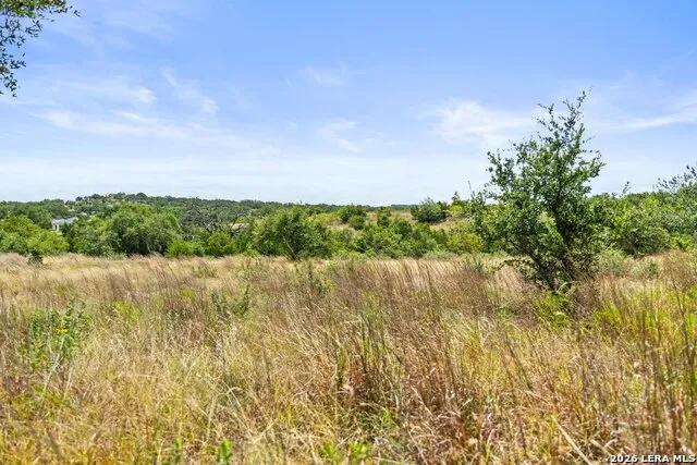 207 VERBENA CT Johnson City, TX 78636