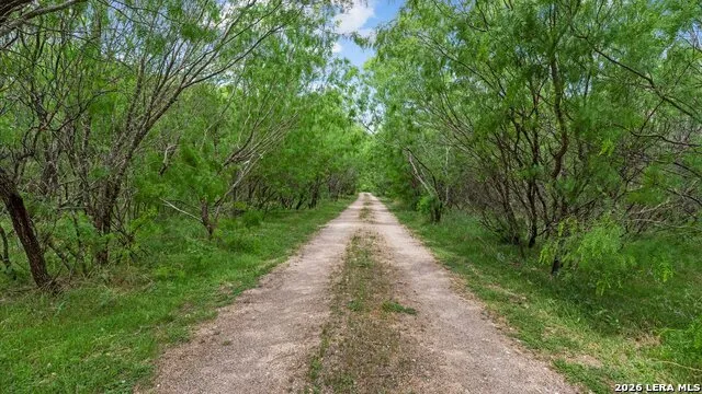 1911 WALD RD New Braunfels, TX 78132