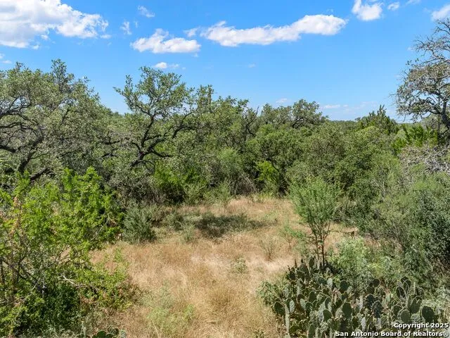 17190 Classen San Antonio, TX 78247