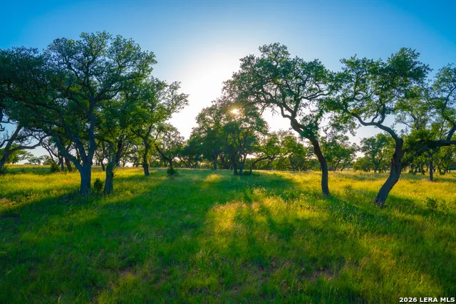 TBD Wine Trail Dr Johnson City, TX 78636