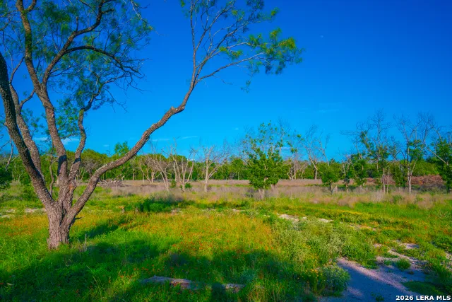 TBD Wine Trail Dr Johnson City, TX 78636