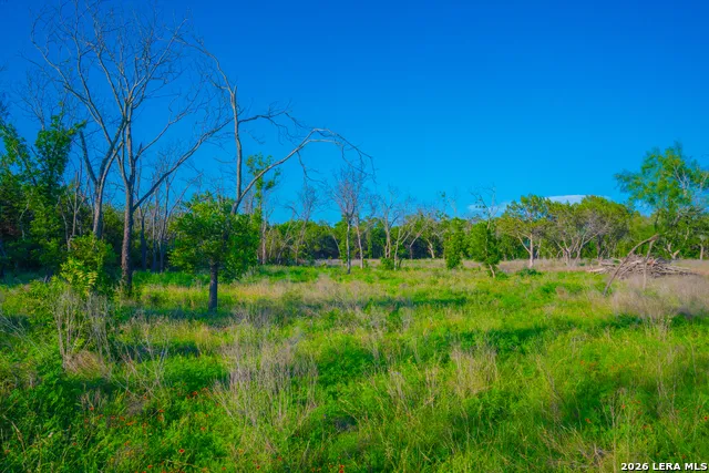 TBD Wine Trail Dr Johnson City, TX 78636