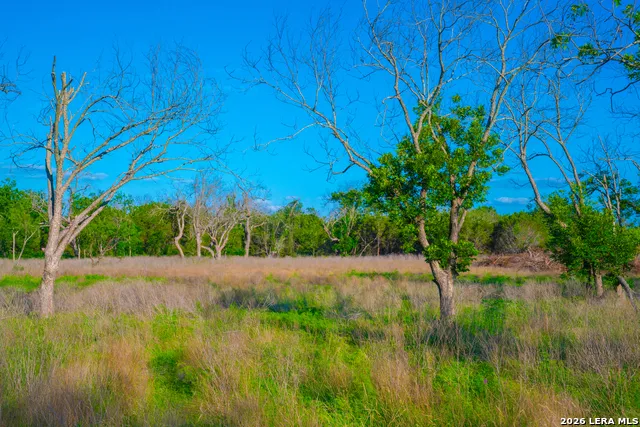 TBD Wine Trail Dr Johnson City, TX 78636