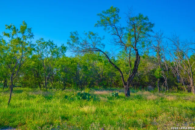TBD Wine Trail Dr Johnson City, TX 78636