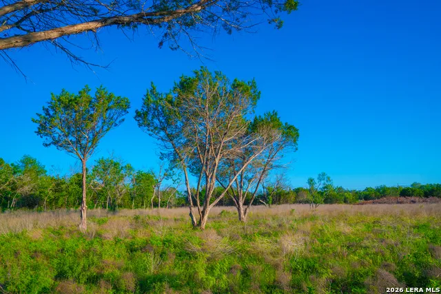 TBD Wine Trail Dr Johnson City, TX 78636