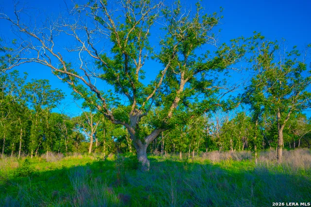 TBD Wine Trail Dr Johnson City, TX 78636