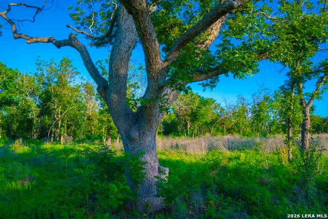 TBD Wine Trail Dr Johnson City, TX 78636