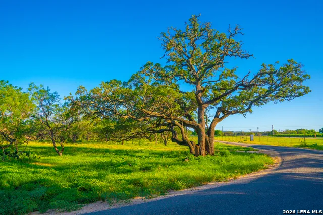 TBD Wine Trail Dr Johnson City, TX 78636