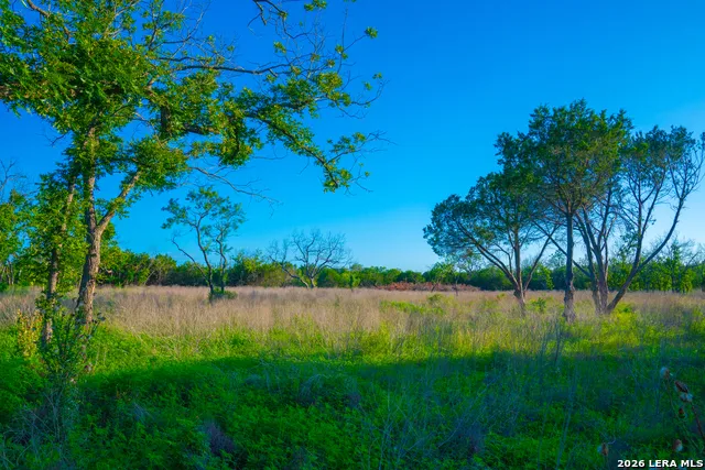 TBD Wine Trail Dr Johnson City, TX 78636