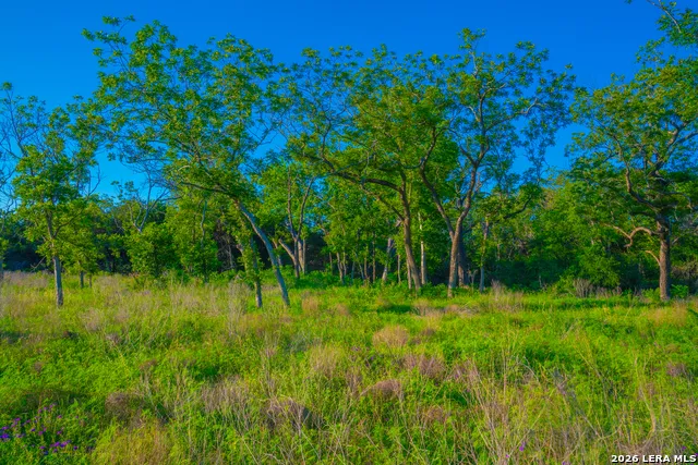 TBD Wine Trail Dr Johnson City, TX 78636