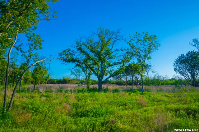TBD Wine Trail Dr Johnson City, TX 78636