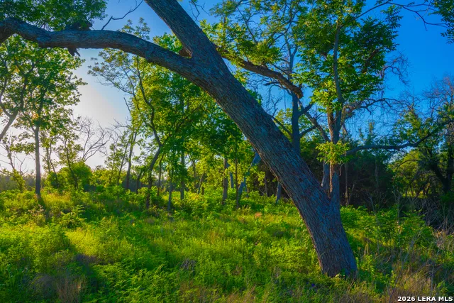 TBD Wine Trail Dr Johnson City, TX 78636