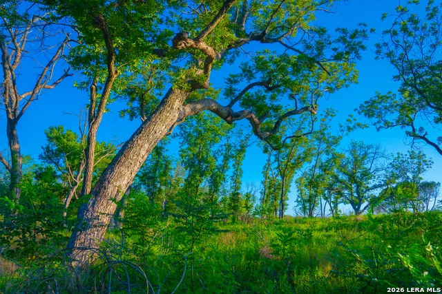 TBD Wine Trail Dr Johnson City, TX 78636