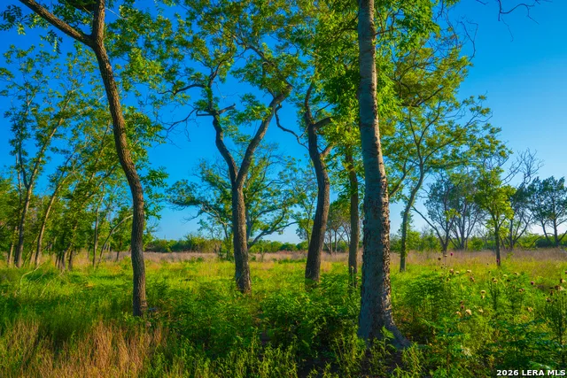 TBD Wine Trail Dr Johnson City, TX 78636
