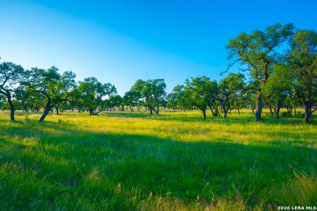 TBD Wine Trail Dr Johnson City, TX 78636