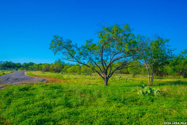 TBD Wine Trail Dr Johnson City, TX 78636