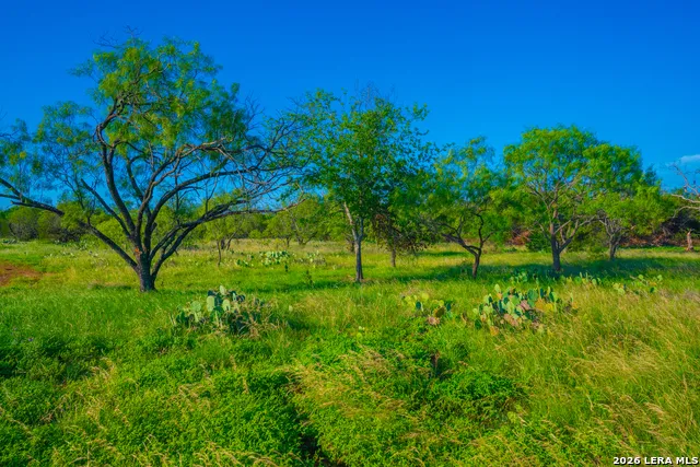 TBD Wine Trail Dr Johnson City, TX 78636