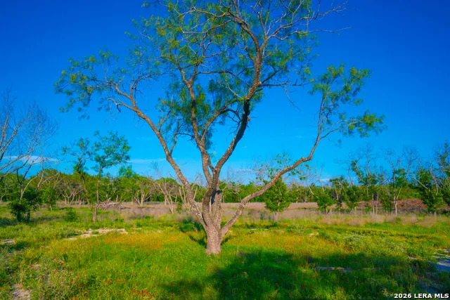 TBD Wine Trail Dr Johnson City, TX 78636