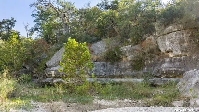 440 CHIMNEY VALLEY DR Blanco, TX 78606