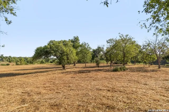 440 CHIMNEY VALLEY DR Blanco, TX 78606