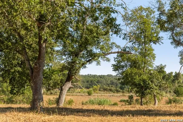 440 CHIMNEY VALLEY DR Blanco, TX 78606